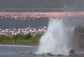 Lake Begonia, Kenya. Picture Source: Wikipedia.